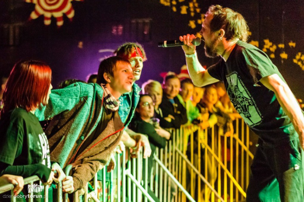 Od Nowa Punk Fest 2016 koncerty