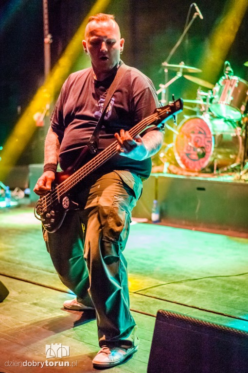 Od Nowa Punk Fest 2016 koncerty