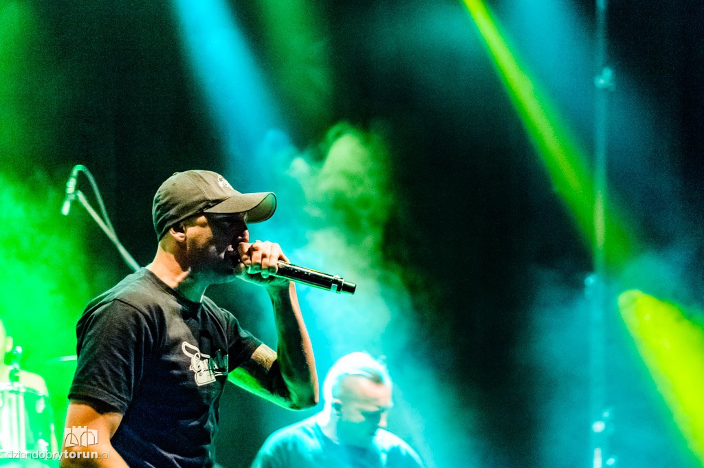 Od Nowa Punk Fest 2016 koncerty