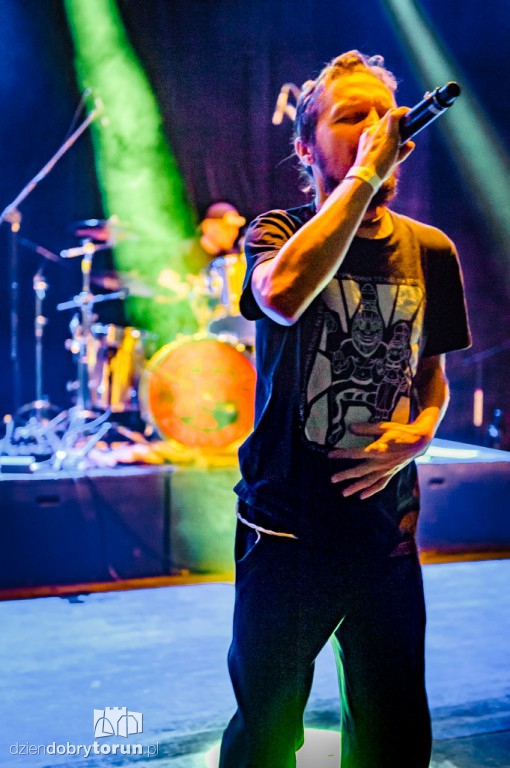 Od Nowa Punk Fest 2016 koncerty