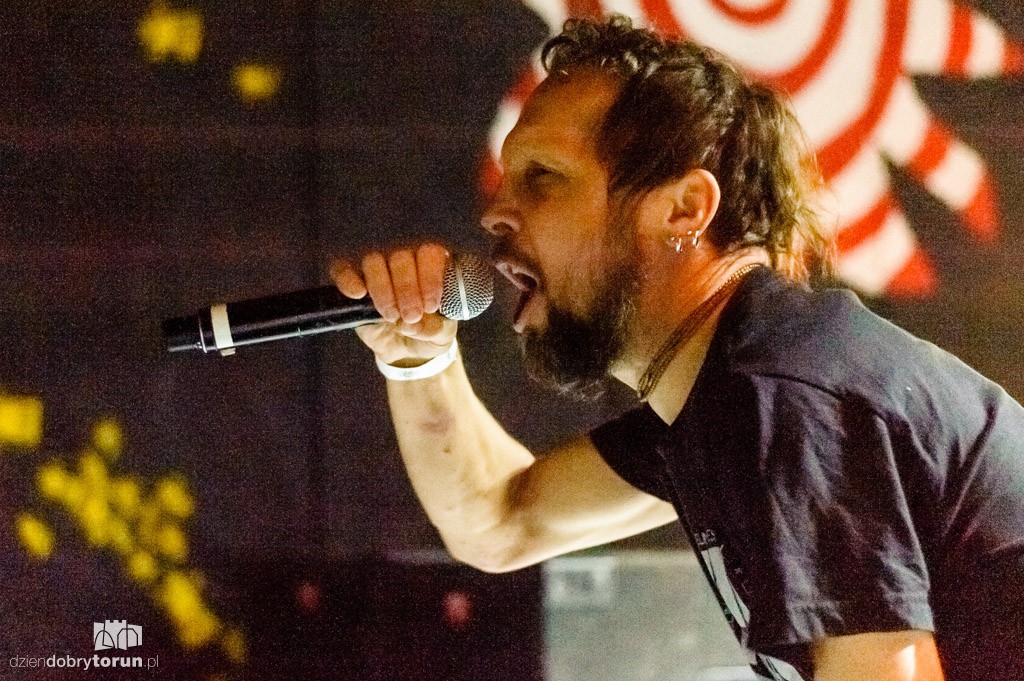 Od Nowa Punk Fest 2016 koncerty