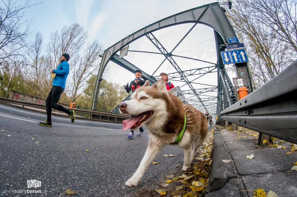 Toruń Marathon wystartował!