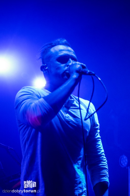 Coma dała koncert w Od Nowie