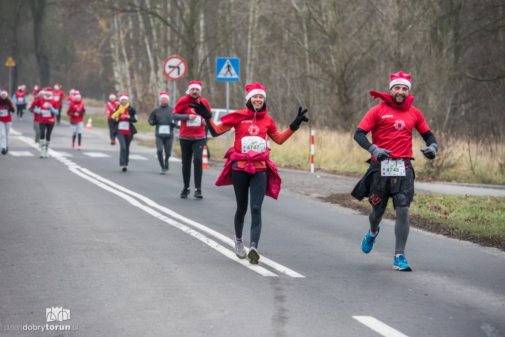 Torunianie na trasie półmaratonu