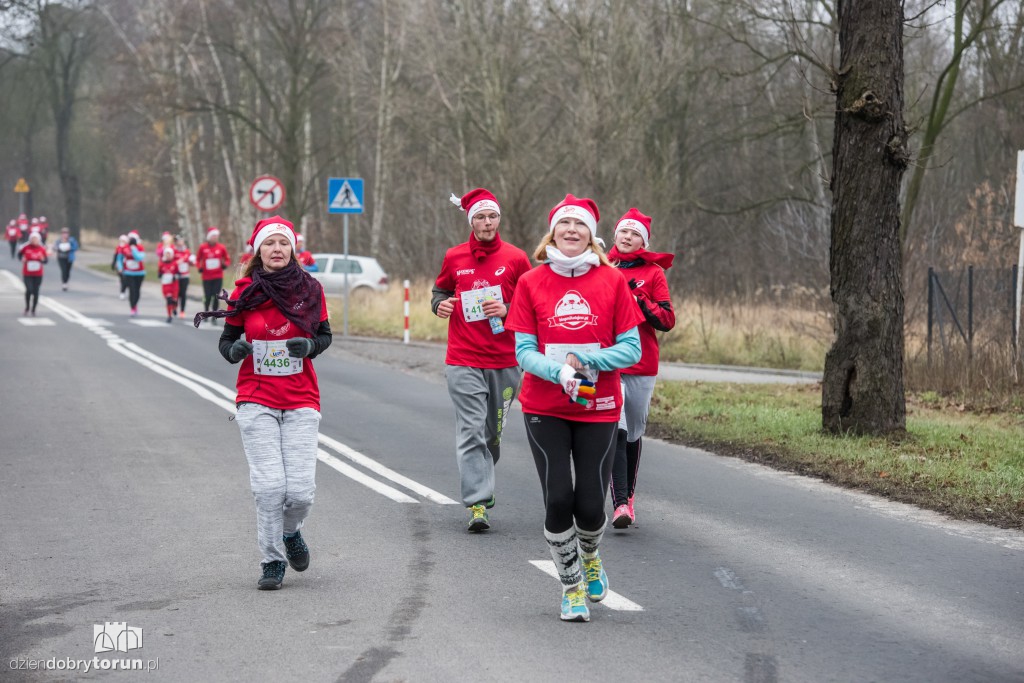 Torunianie na trasie półmaratonu