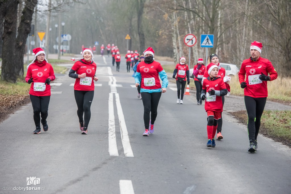 Torunianie na trasie półmaratonu