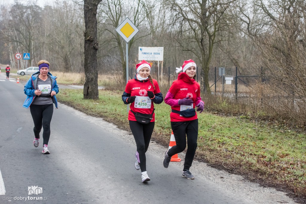 Torunianie na trasie półmaratonu