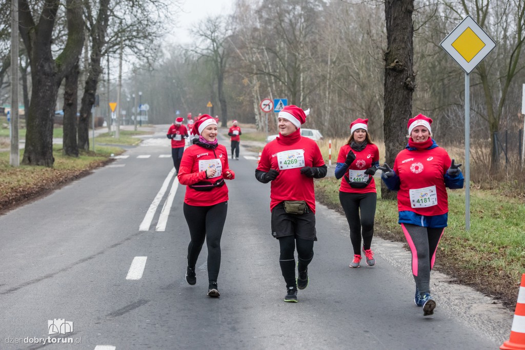 Torunianie na trasie półmaratonu