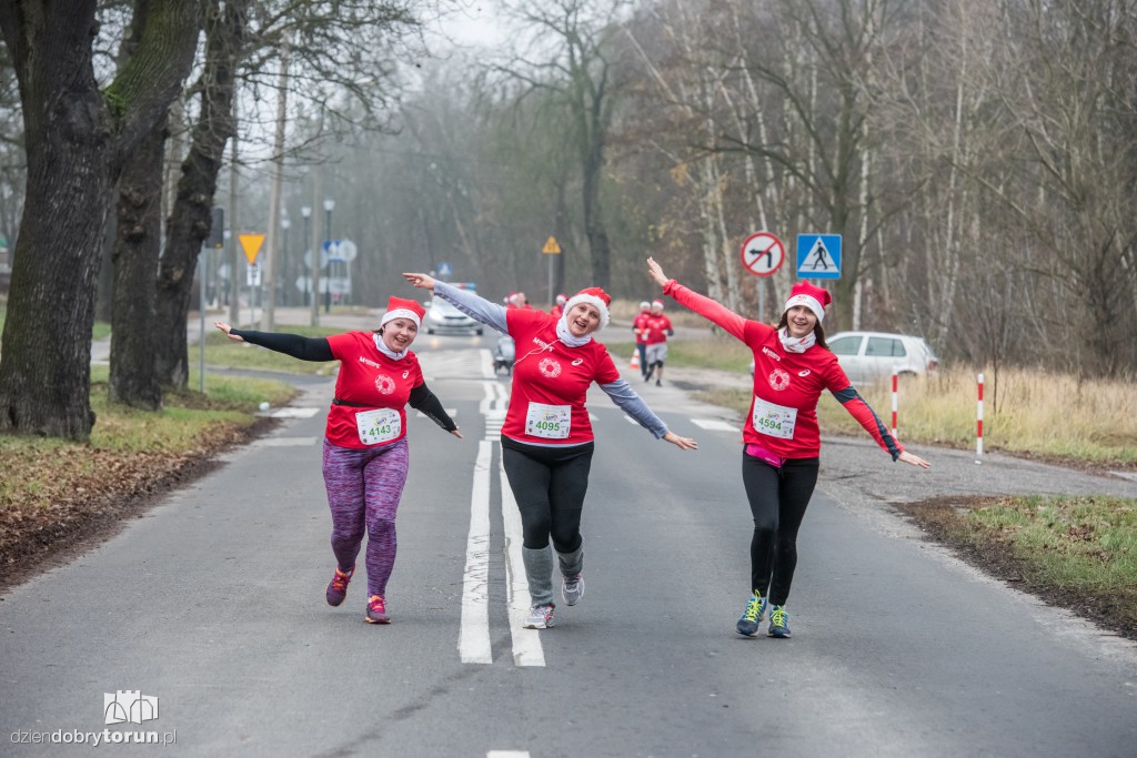 Torunianie na trasie półmaratonu