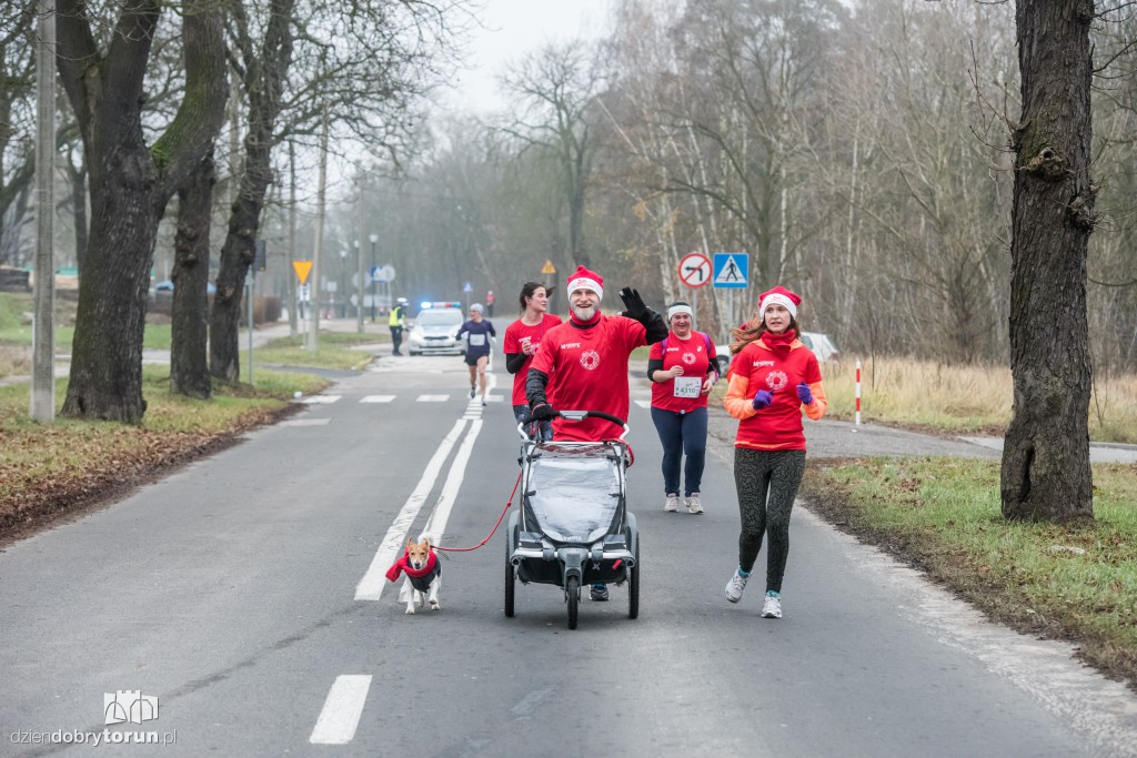Torunianie na trasie półmaratonu
