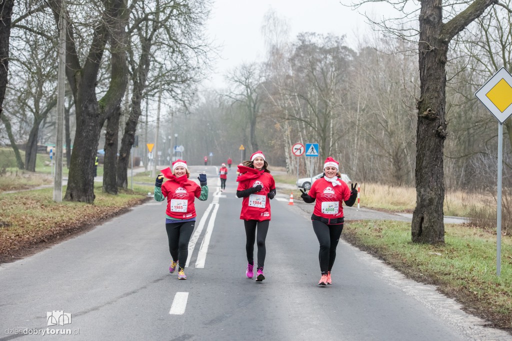 Torunianie na trasie półmaratonu
