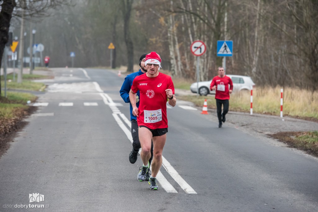 Torunianie na trasie półmaratonu