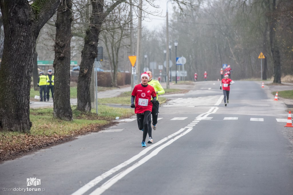 Torunianie na trasie półmaratonu