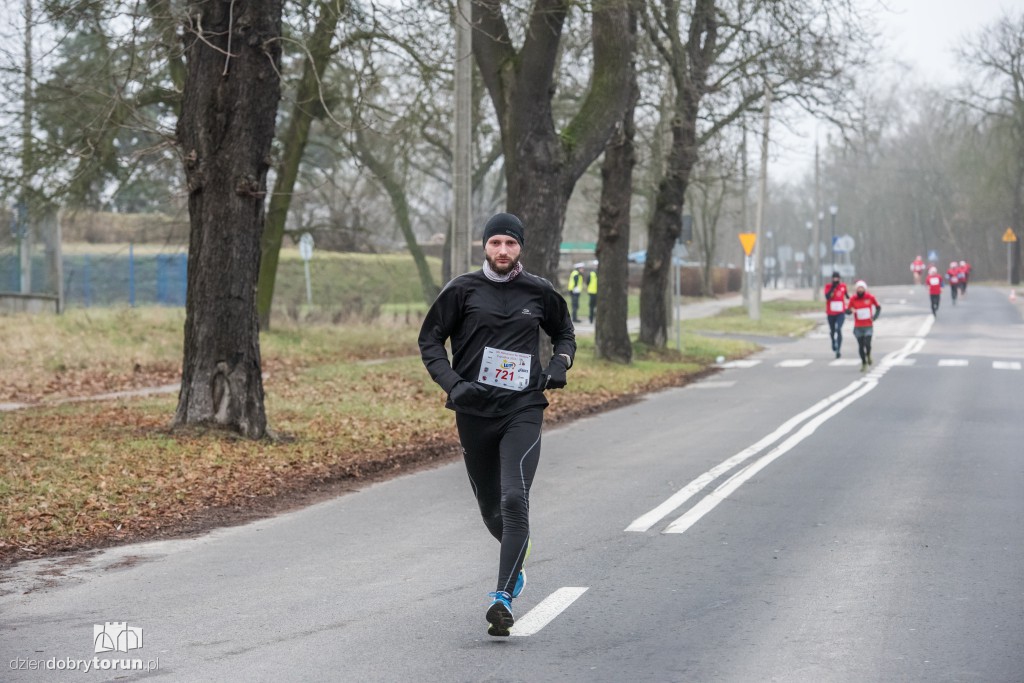 Torunianie na trasie półmaratonu