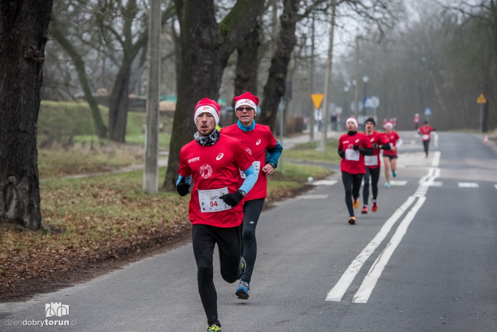Torunianie na trasie półmaratonu