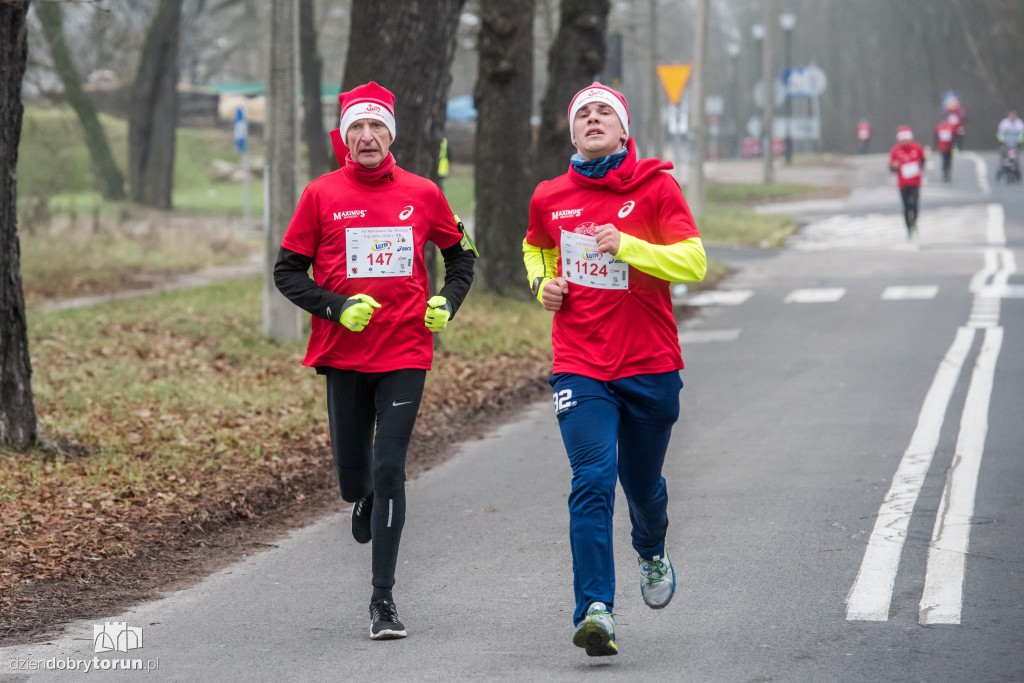 Torunianie na trasie półmaratonu