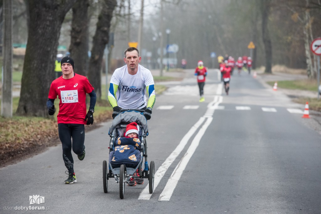 Torunianie na trasie półmaratonu