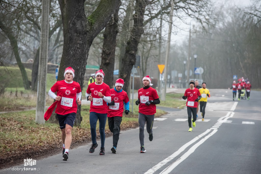 Torunianie na trasie półmaratonu