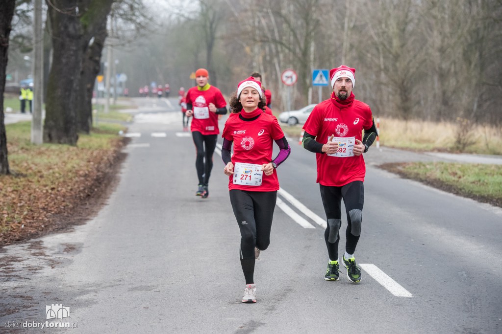 Torunianie na trasie półmaratonu