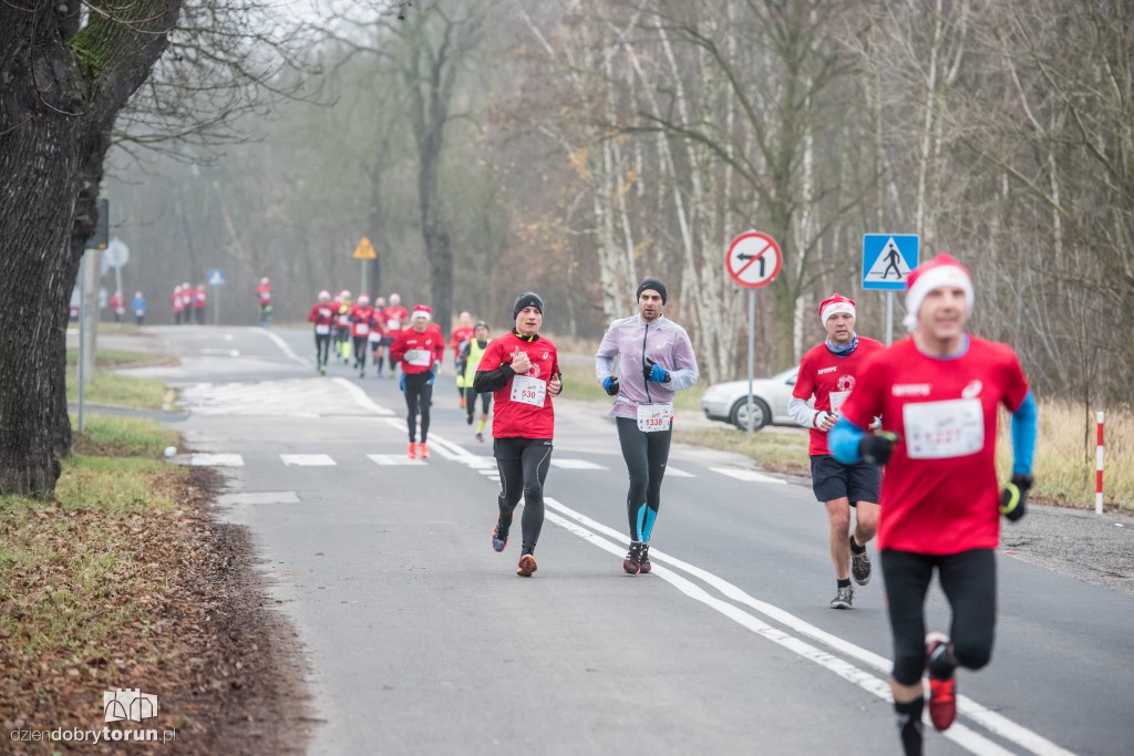 Torunianie na trasie półmaratonu
