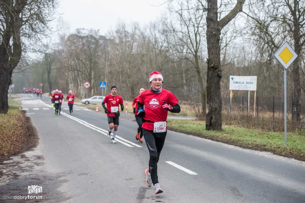 Torunianie na trasie półmaratonu