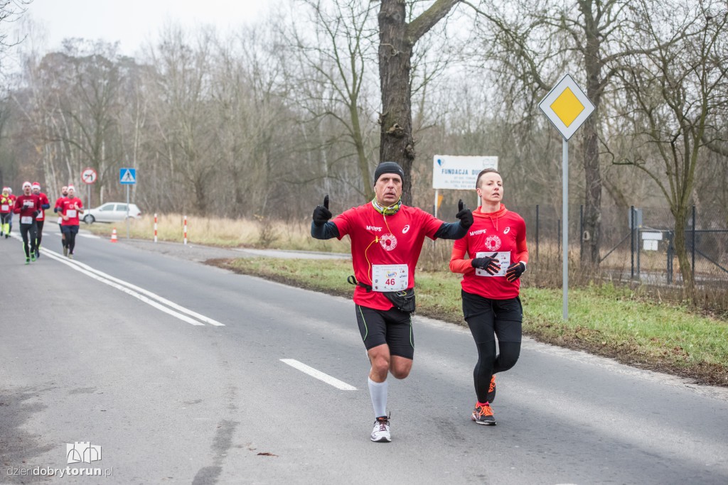 Torunianie na trasie półmaratonu