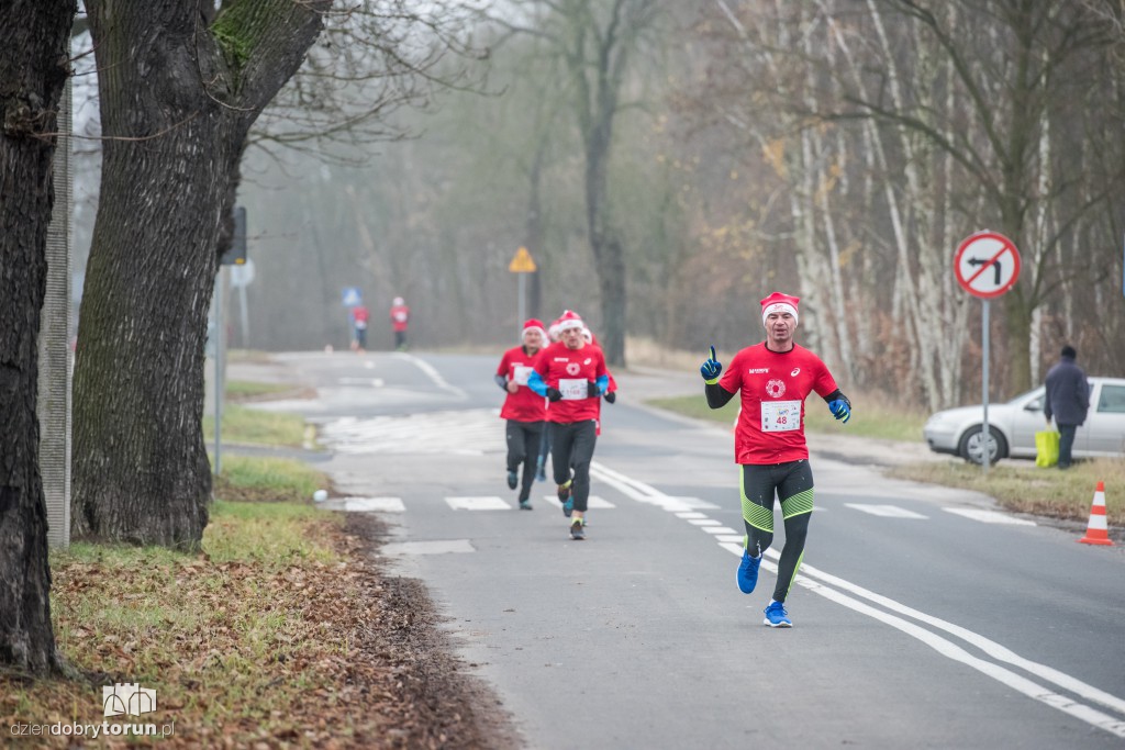 Torunianie na trasie półmaratonu