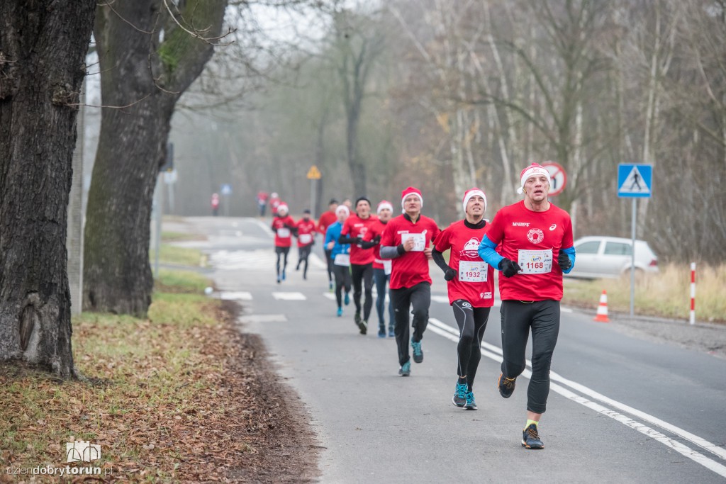 Torunianie na trasie półmaratonu