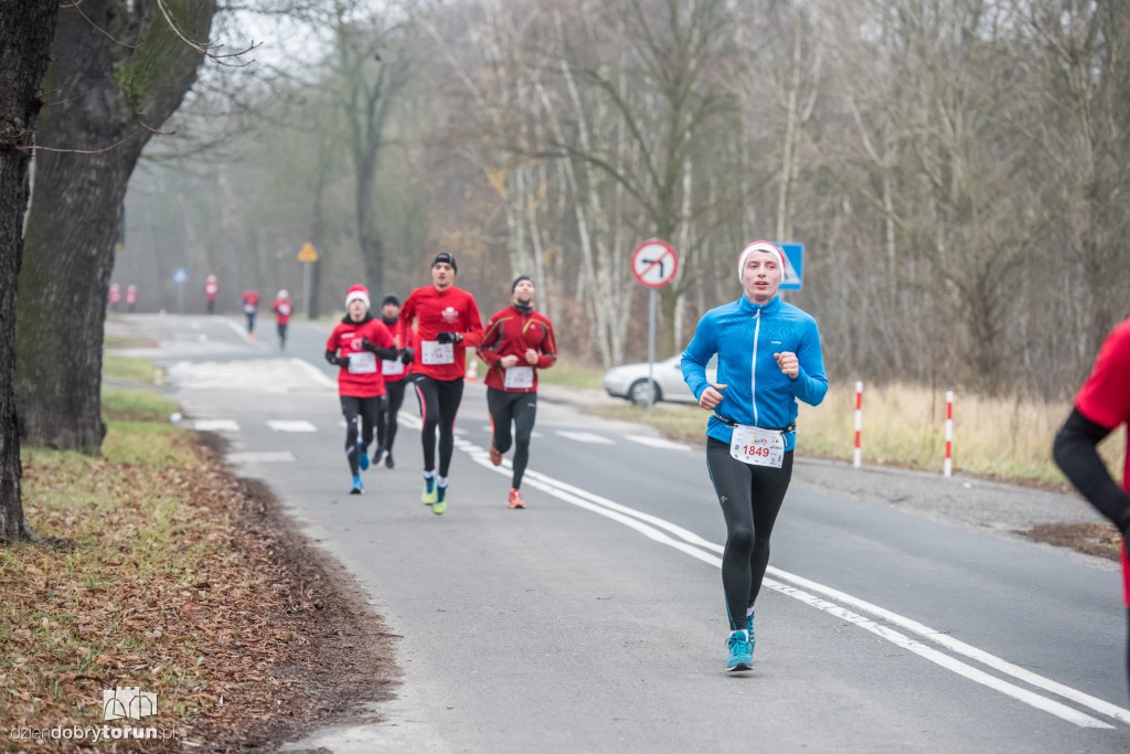 Torunianie na trasie półmaratonu