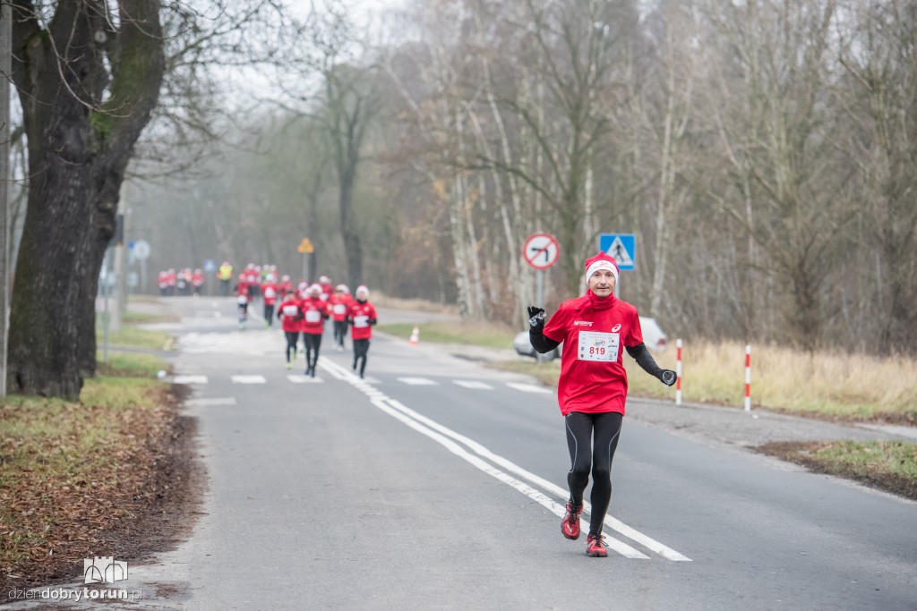 Torunianie na trasie półmaratonu