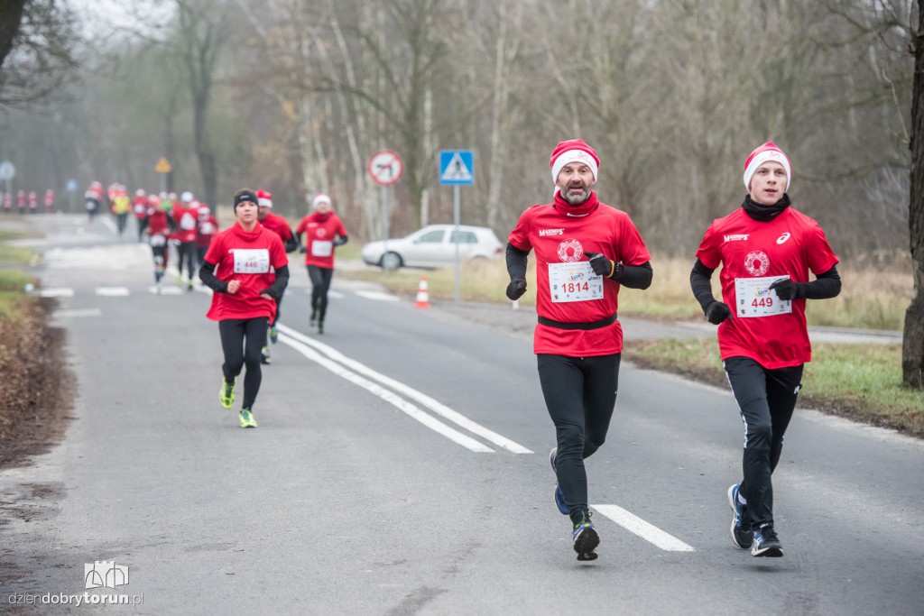 Torunianie na trasie półmaratonu