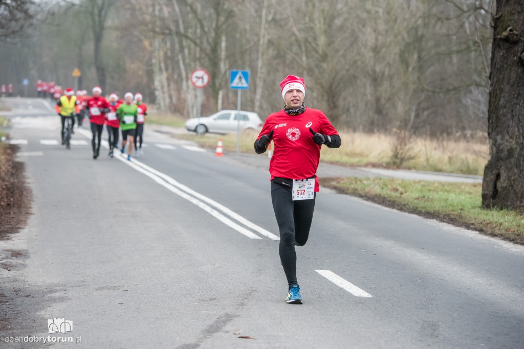 Torunianie na trasie półmaratonu