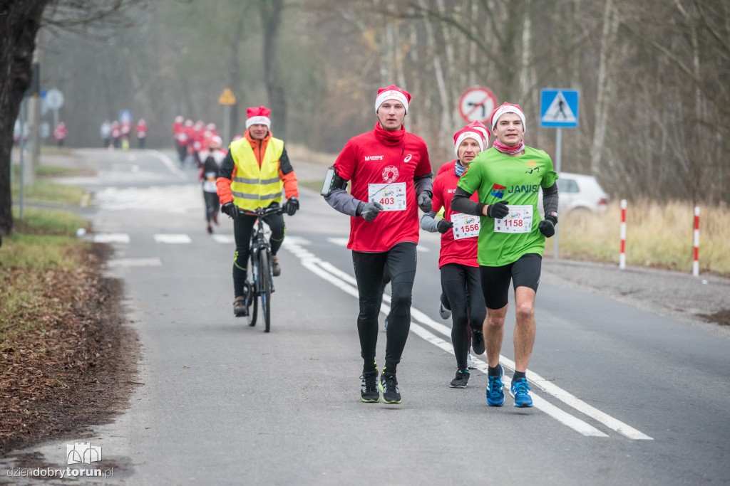 Torunianie na trasie półmaratonu