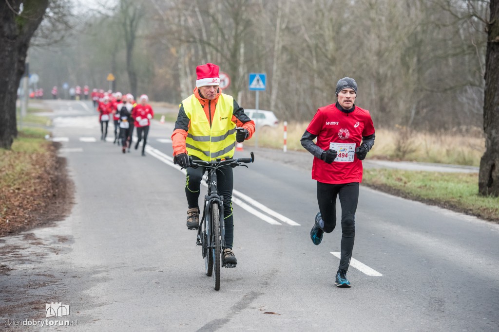 Torunianie na trasie półmaratonu