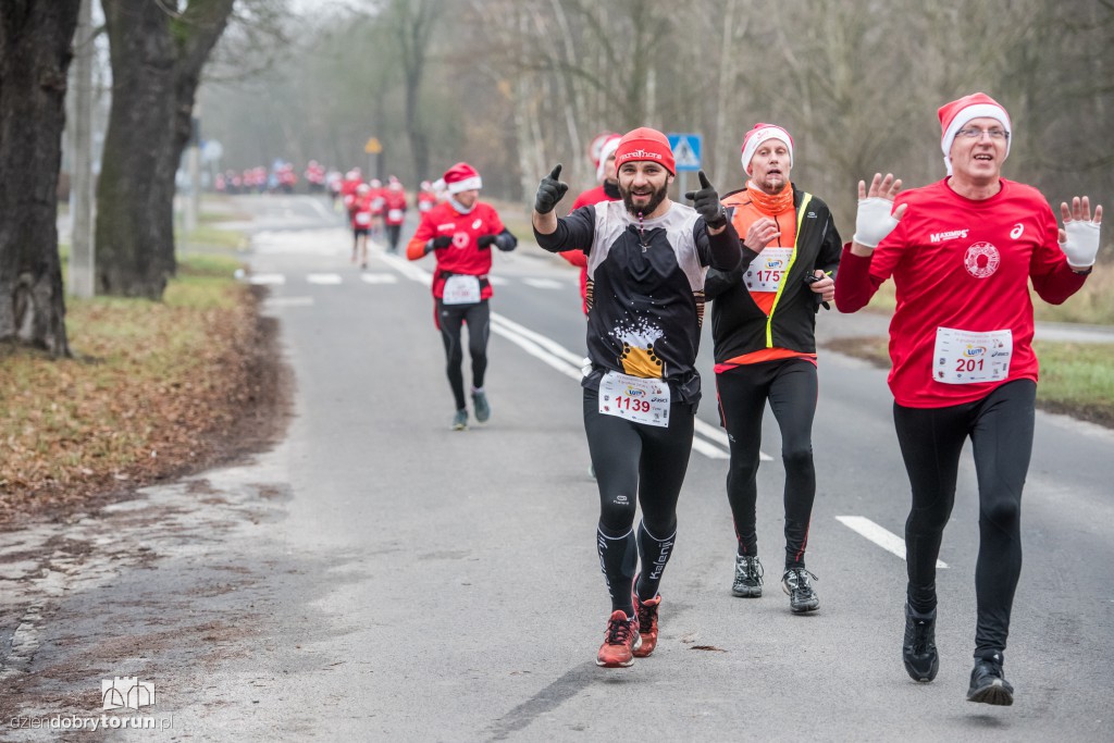 Torunianie na trasie półmaratonu