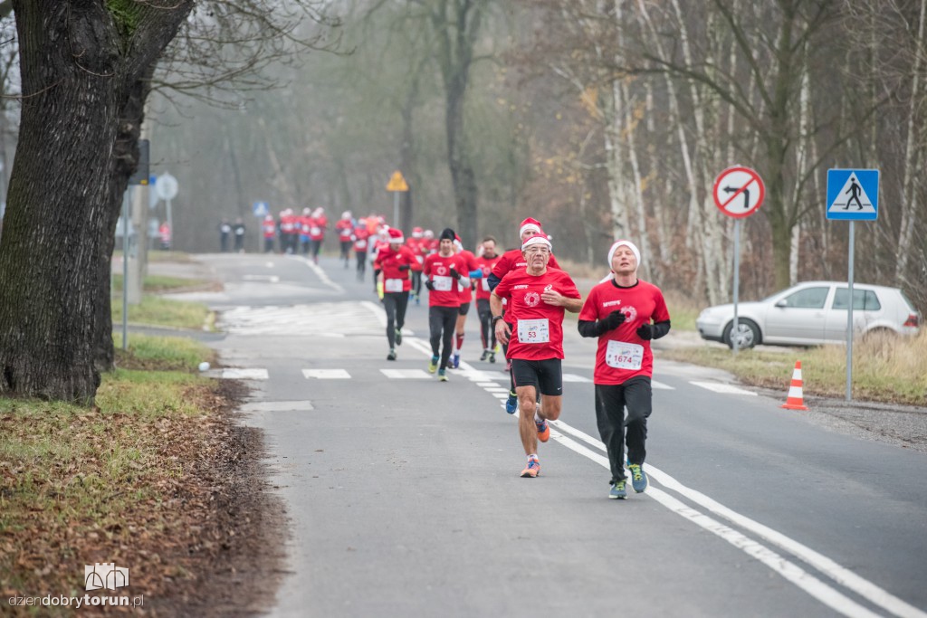 Torunianie na trasie półmaratonu