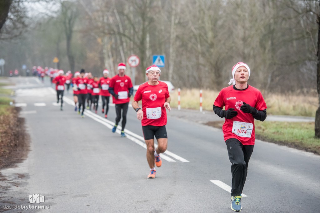 Torunianie na trasie półmaratonu