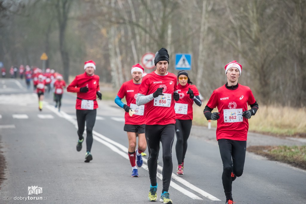 Torunianie na trasie półmaratonu