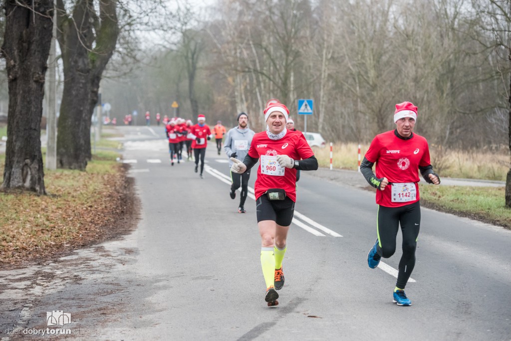 Torunianie na trasie półmaratonu