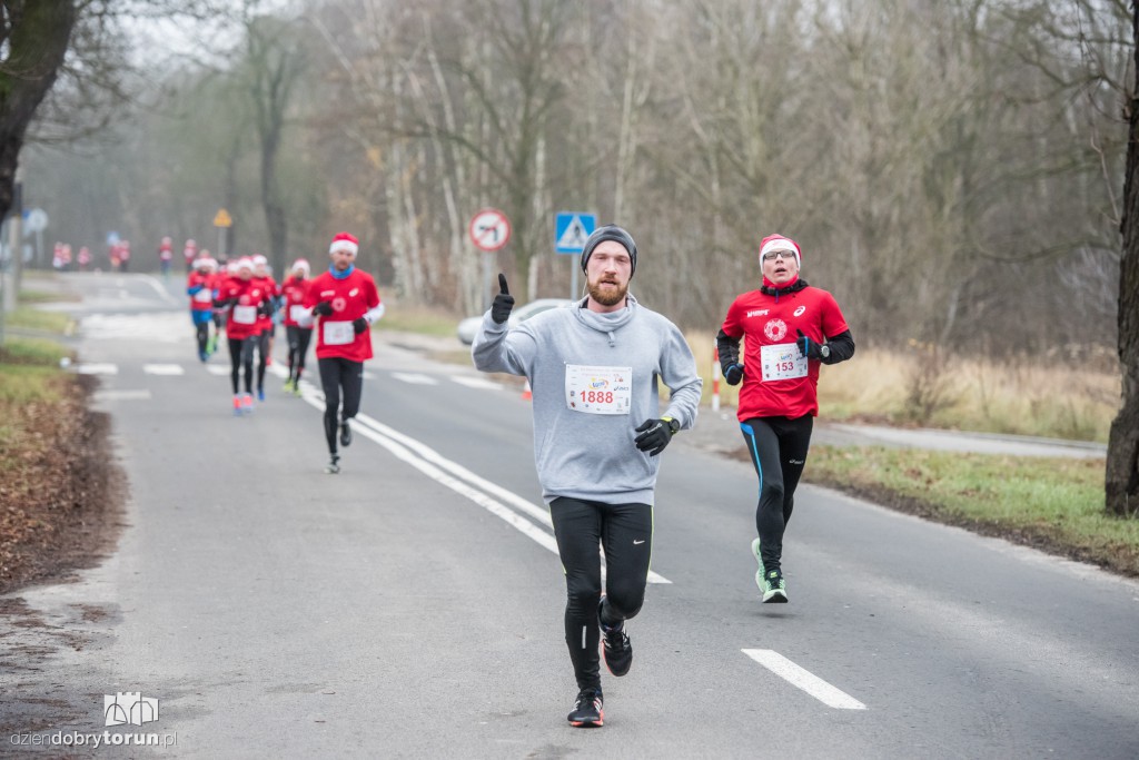 Torunianie na trasie półmaratonu