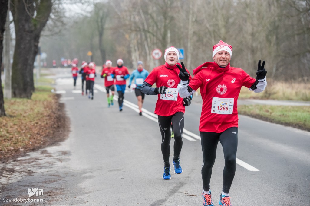 Torunianie na trasie półmaratonu