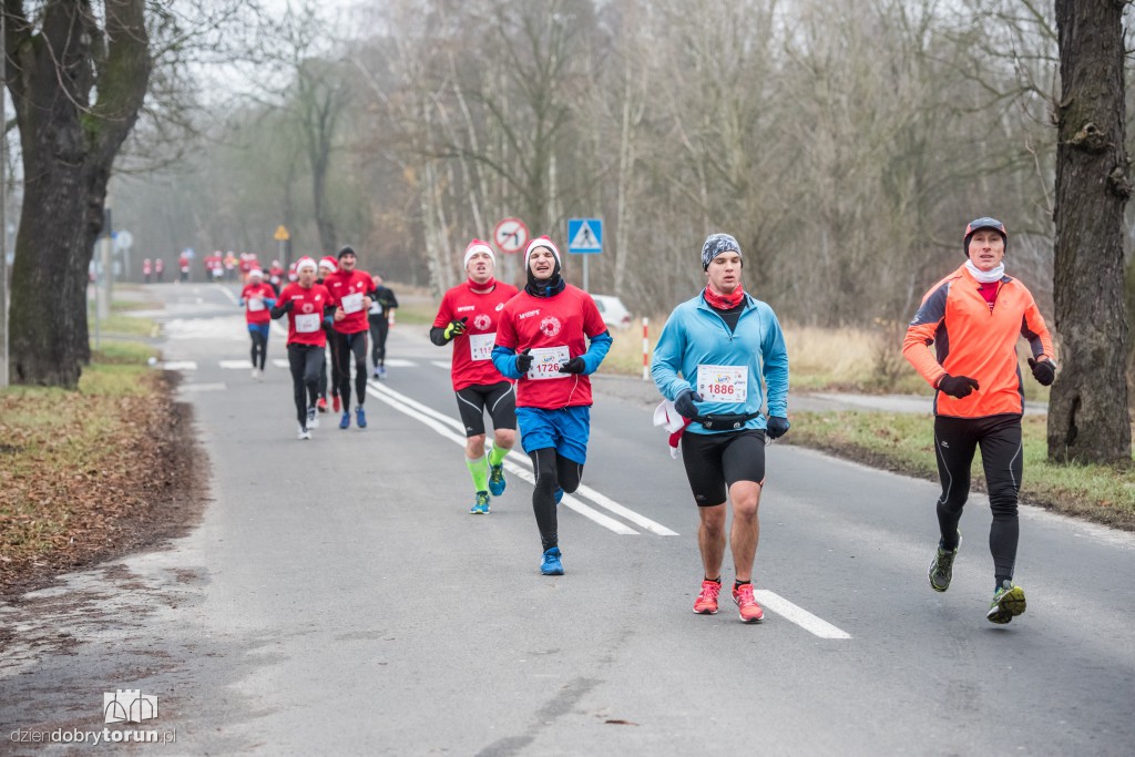 Torunianie na trasie półmaratonu