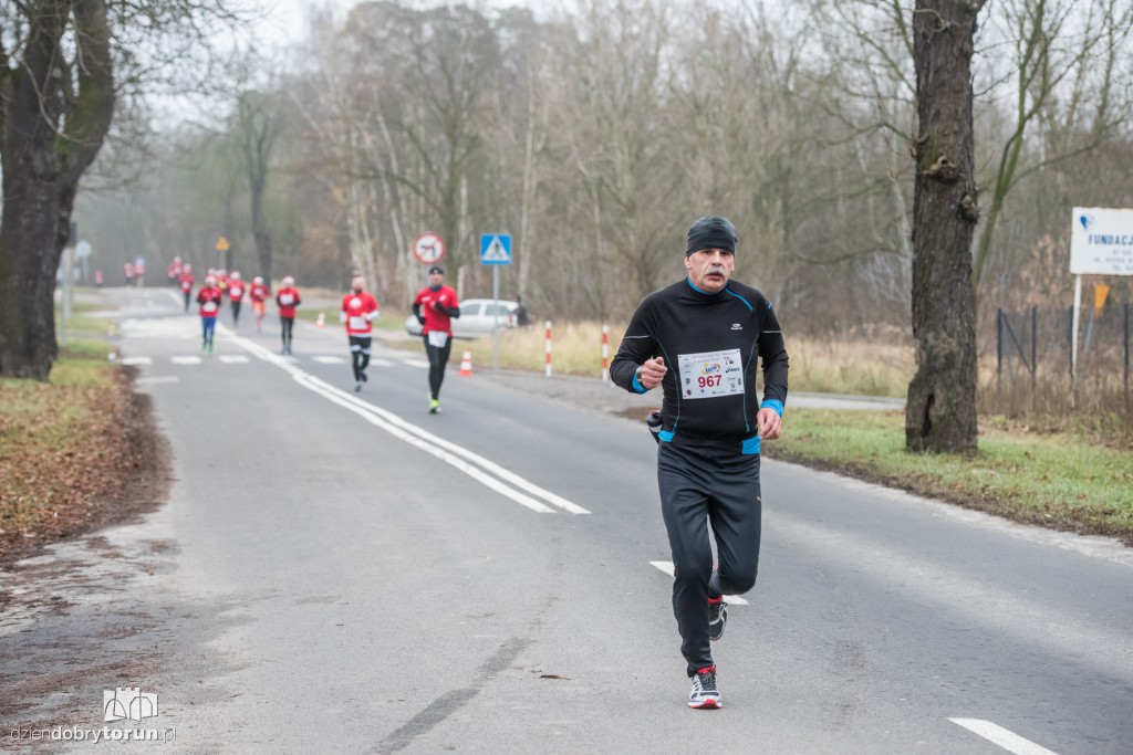 Torunianie na trasie półmaratonu