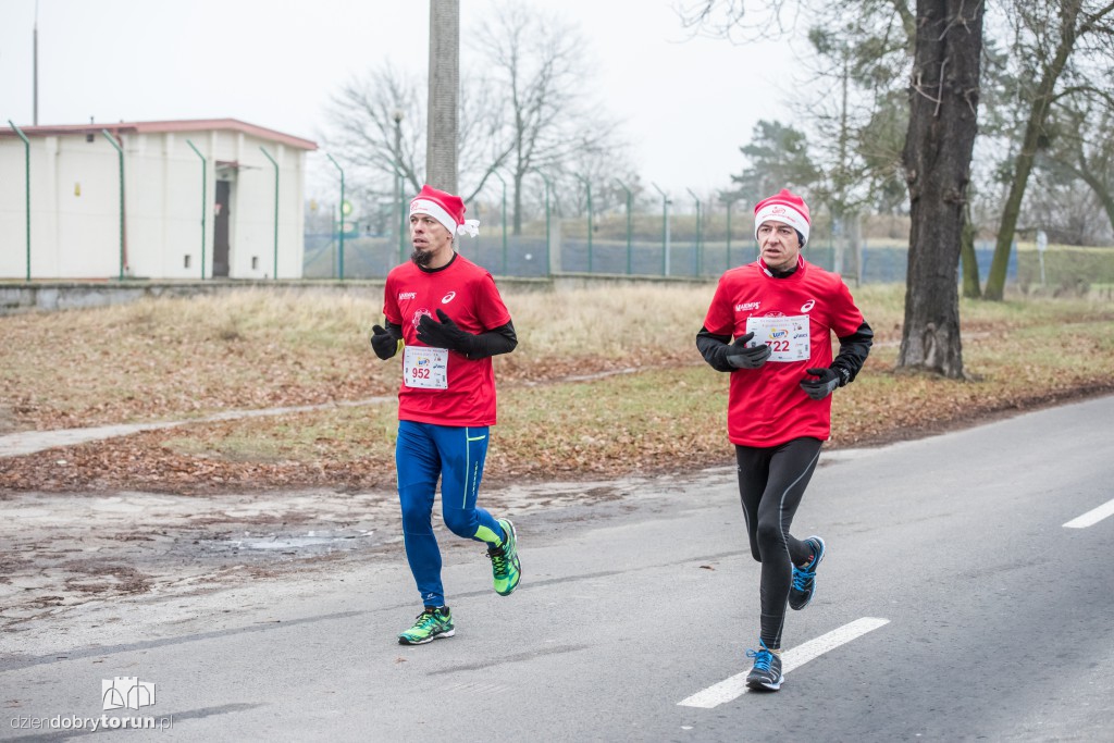 Torunianie na trasie półmaratonu