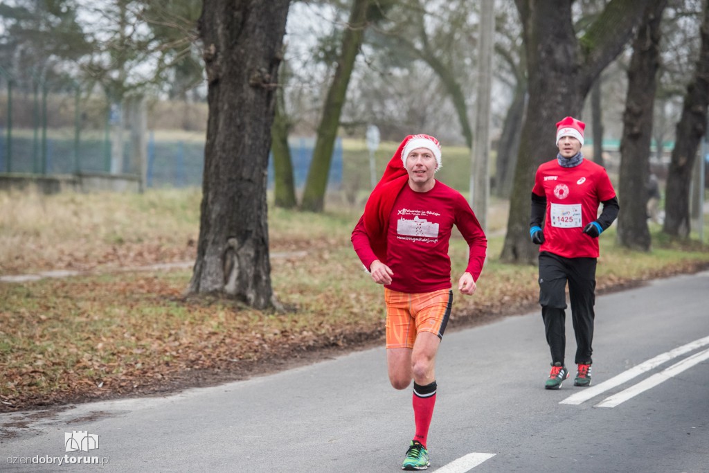Torunianie na trasie półmaratonu