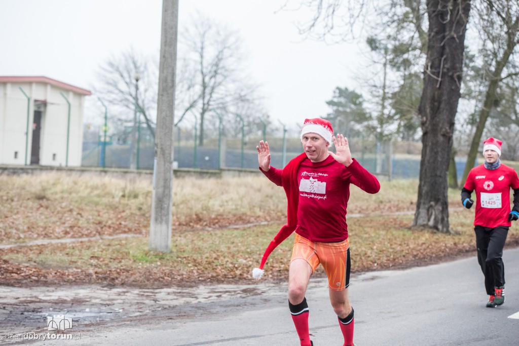 Torunianie na trasie półmaratonu