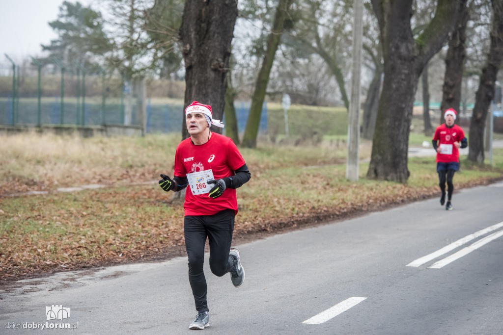 Torunianie na trasie półmaratonu
