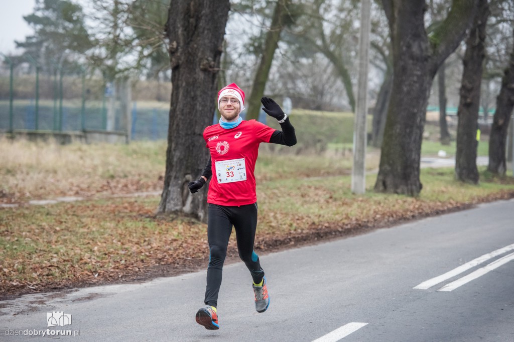Torunianie na trasie półmaratonu