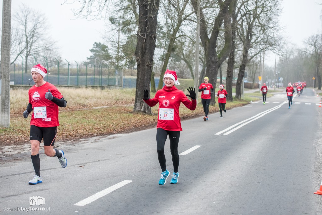 Torunianie na trasie półmaratonu