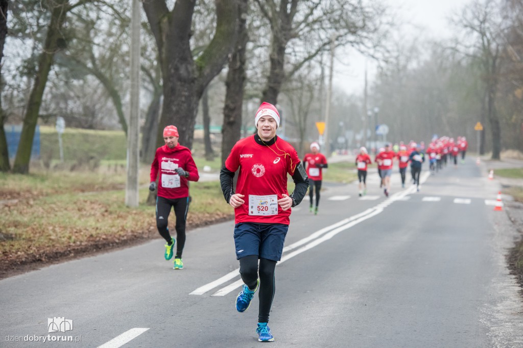 Torunianie na trasie półmaratonu